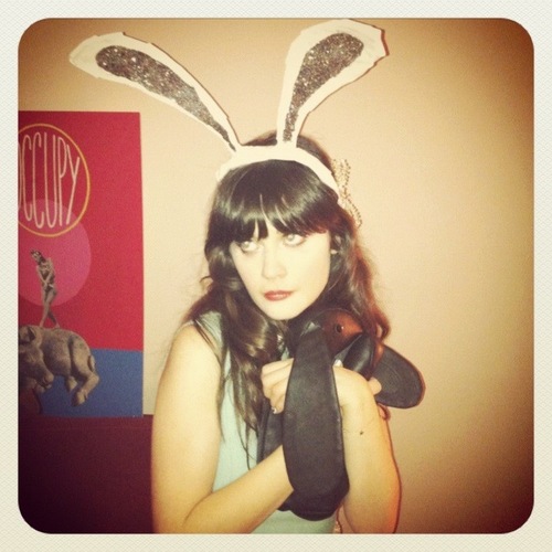 zd_as_bunny