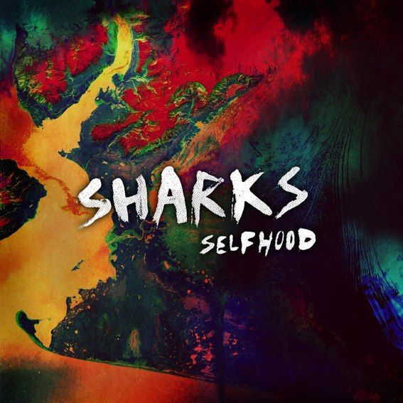 sharks 2013