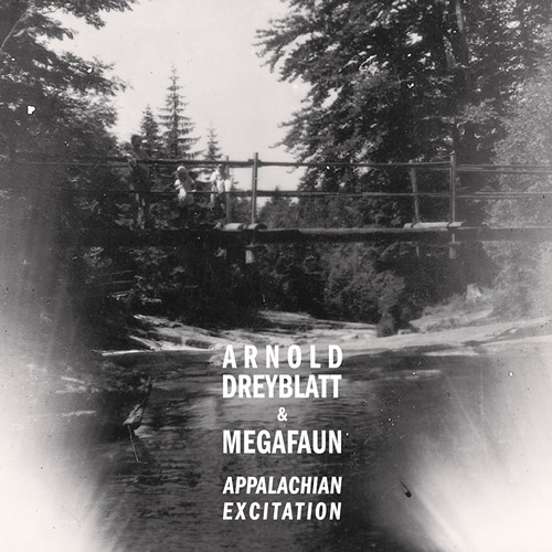 Arnold Dreyblatt and Megafaun appalachian Excitation