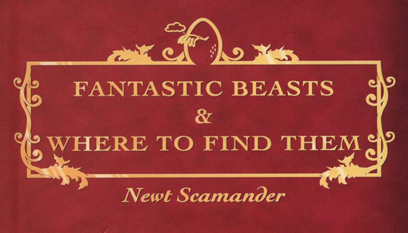 Fantastic-Beasts-and-Where-to-Find-Them-harry-potter-26796486-940-1370