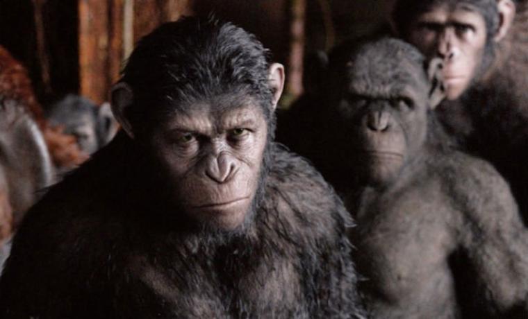 planet of the apes still