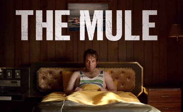 The-Mule-Trailer
