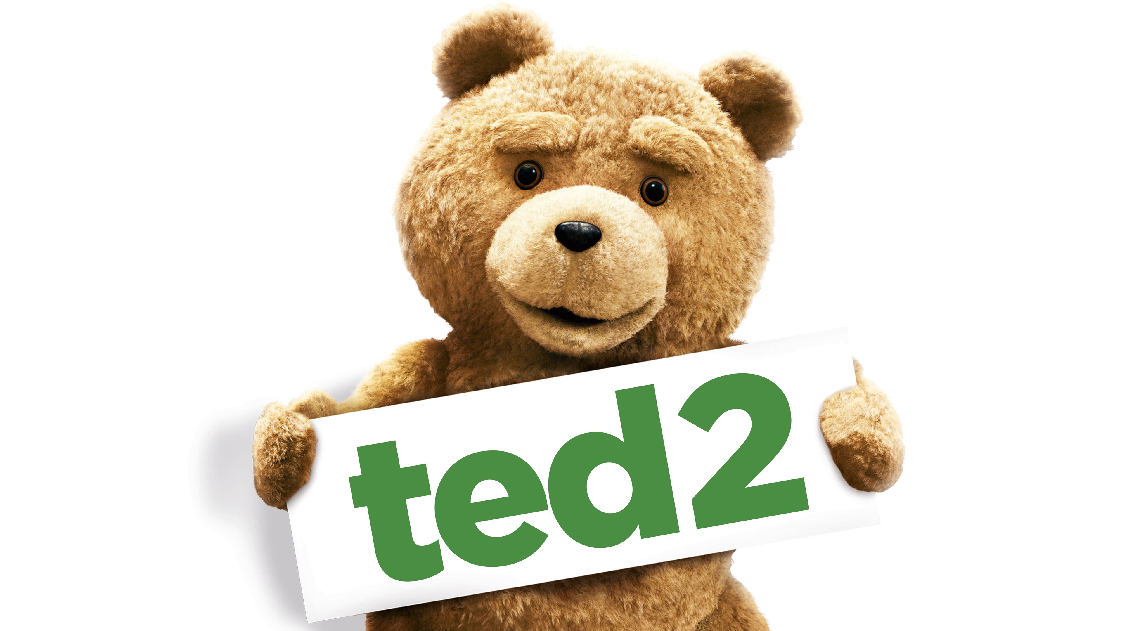 2015_ted_2_movie-3840x2160