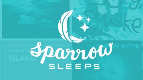sparrow sleeps