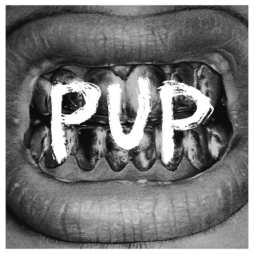 PUP Self-Titled Album and Interview
